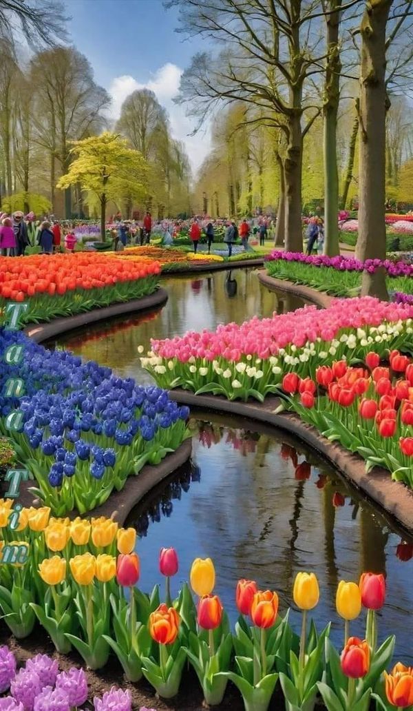 Keukenhof Gardens